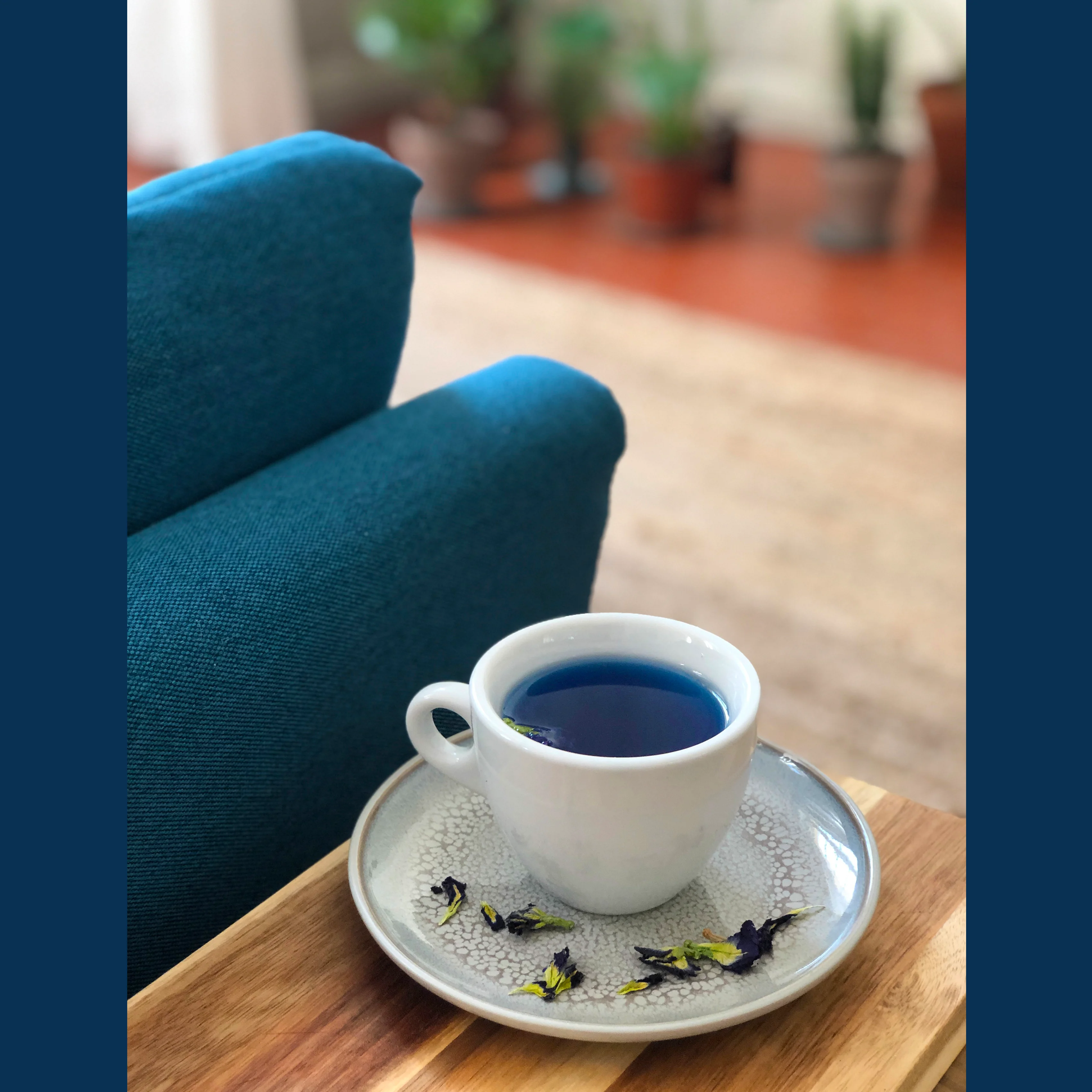 Pure butterfly pea flower tea - Image 19