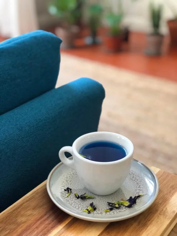 cup of blue tea in a sunny living room