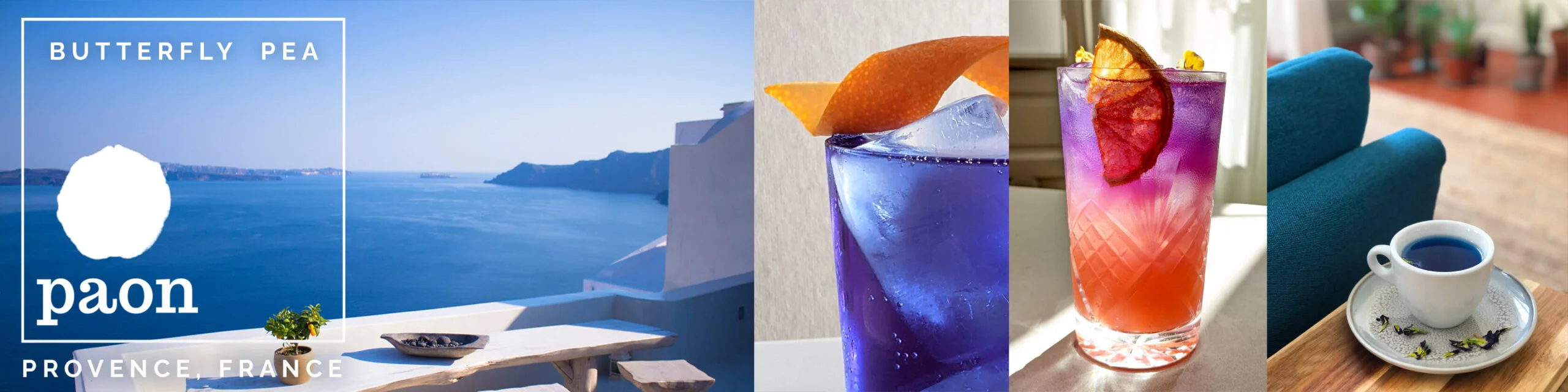 2022Summer-butterfly-pea