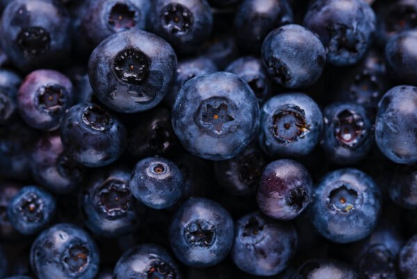 joanna-kosinska-eVQBXxeCre4-unsplash_small joanna-kosinska-eVQBXxeCre4-unsplash_small
