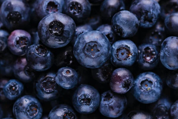joanna-kosinska-eVQBXxeCre4-unsplash_small joanna-kosinska-eVQBXxeCre4-unsplash_small