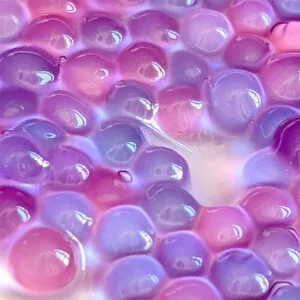 butterfly-pea-tapioca-pearls