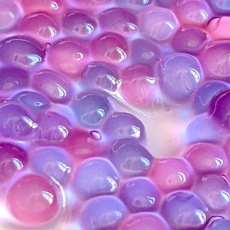 butterfly-pea-tapioca-pearls