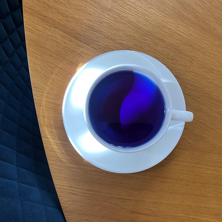 Une tasse de thé bleu qui montre un bleu profond venant des anthocyanes